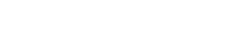 SL Consulting Group